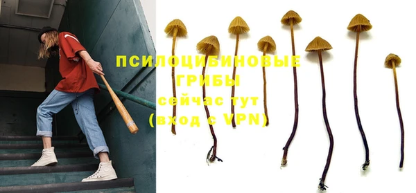 а пвп мука Пересвет