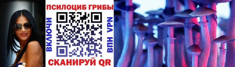 Галлюциногенные грибы Cubensis  купить наркотики цена  Юрга 